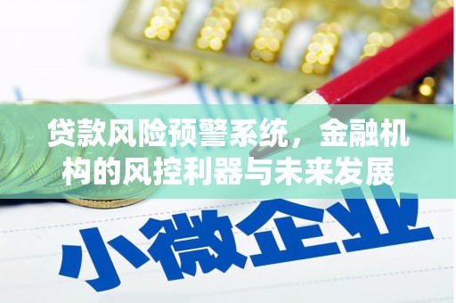 长沙贷款风险预警系统，金融机构的风控利器与未来发展