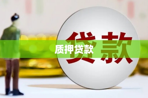 长沙质押贷款