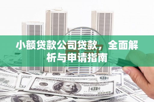 长沙小额贷款公司贷款，全面解析与申请指南