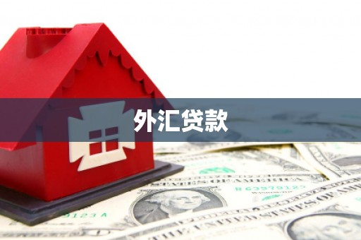 长沙外汇贷款