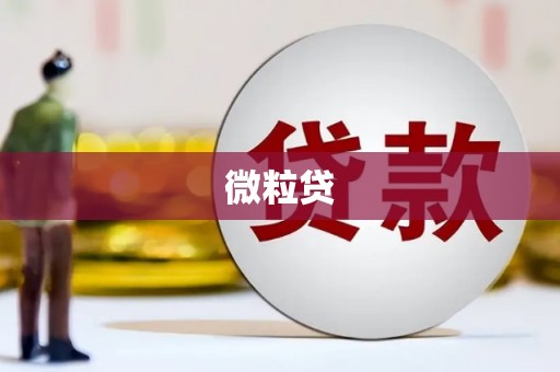 长沙微粒贷