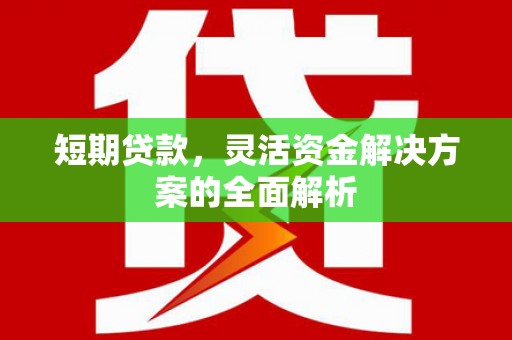 长沙短期贷款，灵活资金解决方案的全面解析