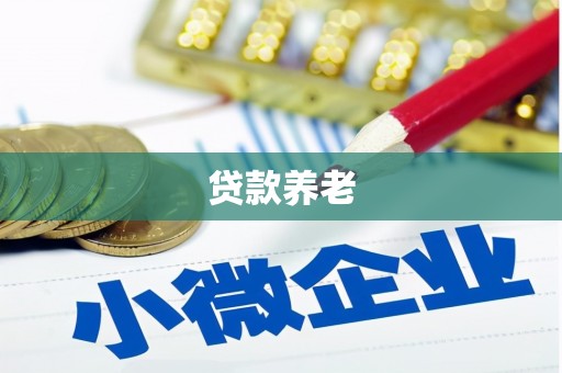 长沙贷款养老