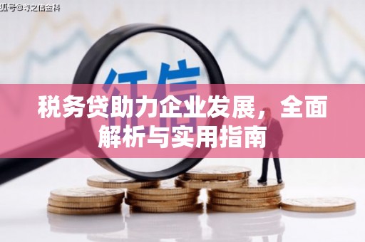 长沙税务贷助力企业发展，全面解析与实用指南