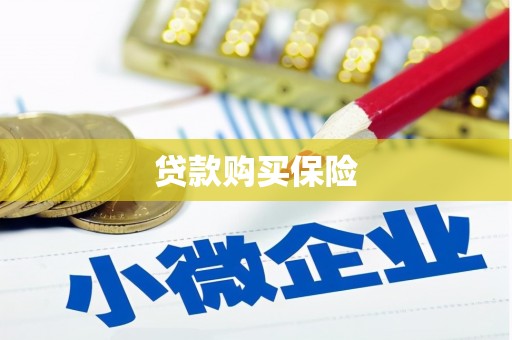长沙贷款购买保险