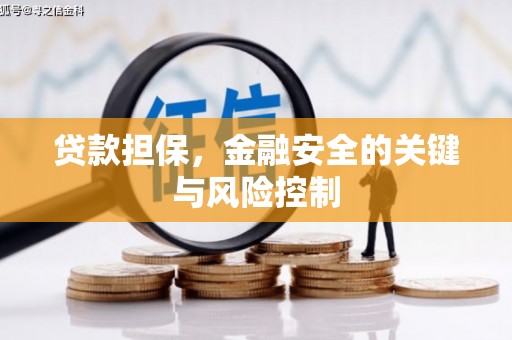 长沙贷款担保，金融安全的关键与风险控制