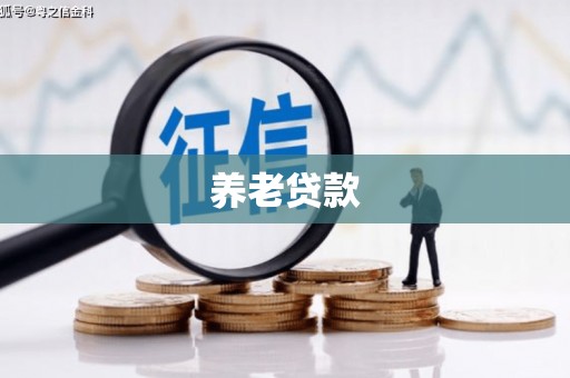 长沙养老贷款