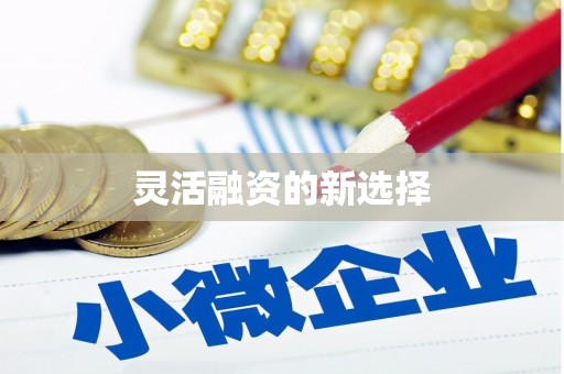 长沙灵活融资的新选择
