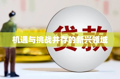 长沙机遇与挑战并存的新兴领域